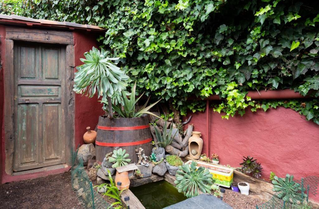 Ferienwohnung Casa Florida La Orotava Exterior foto